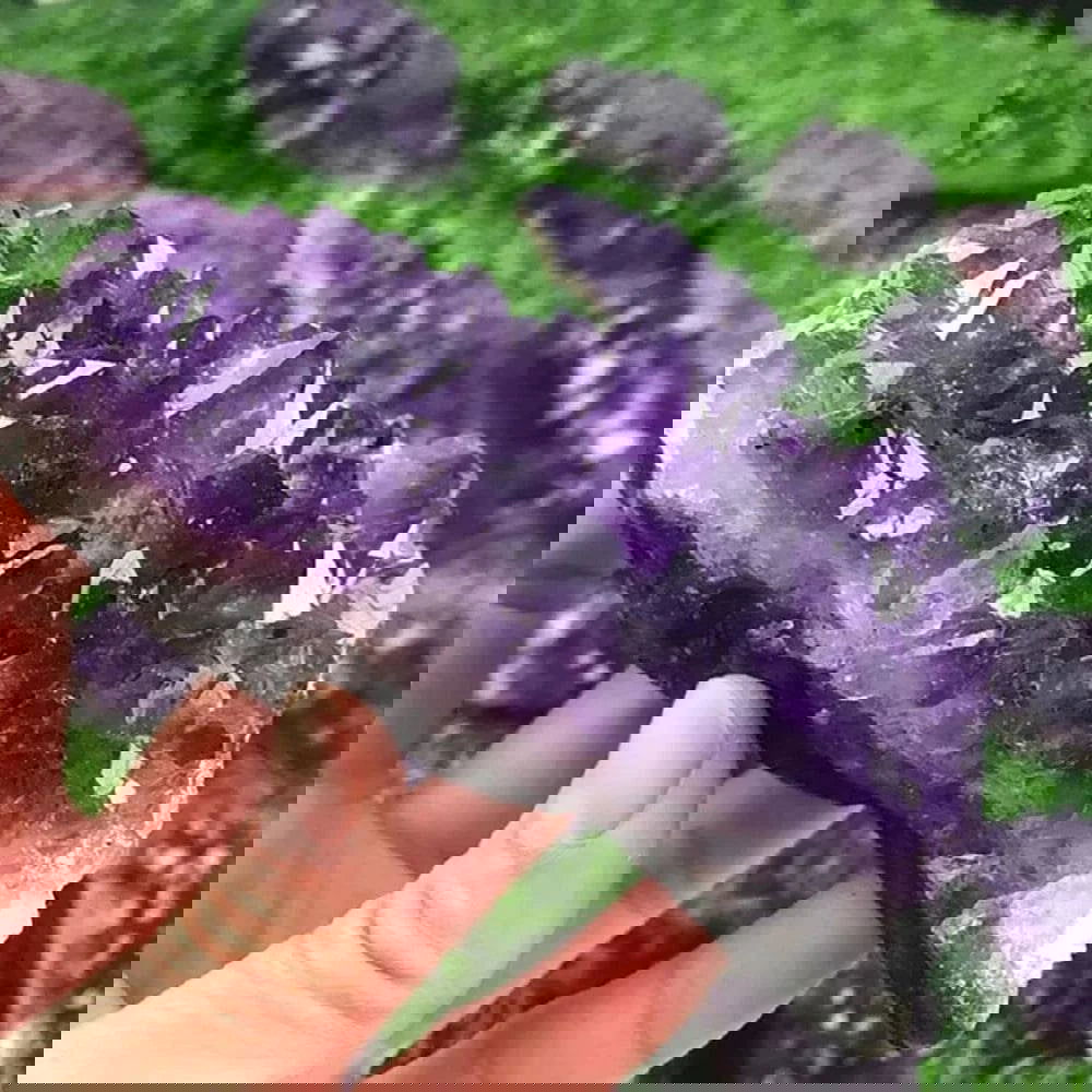 Amethyst Cluster Geode Natural Irregular Purple Quartz Stone Point Wand Energy Healing Mineral Crystal Rock Specimen Room Decor - forbiddengemstones.com