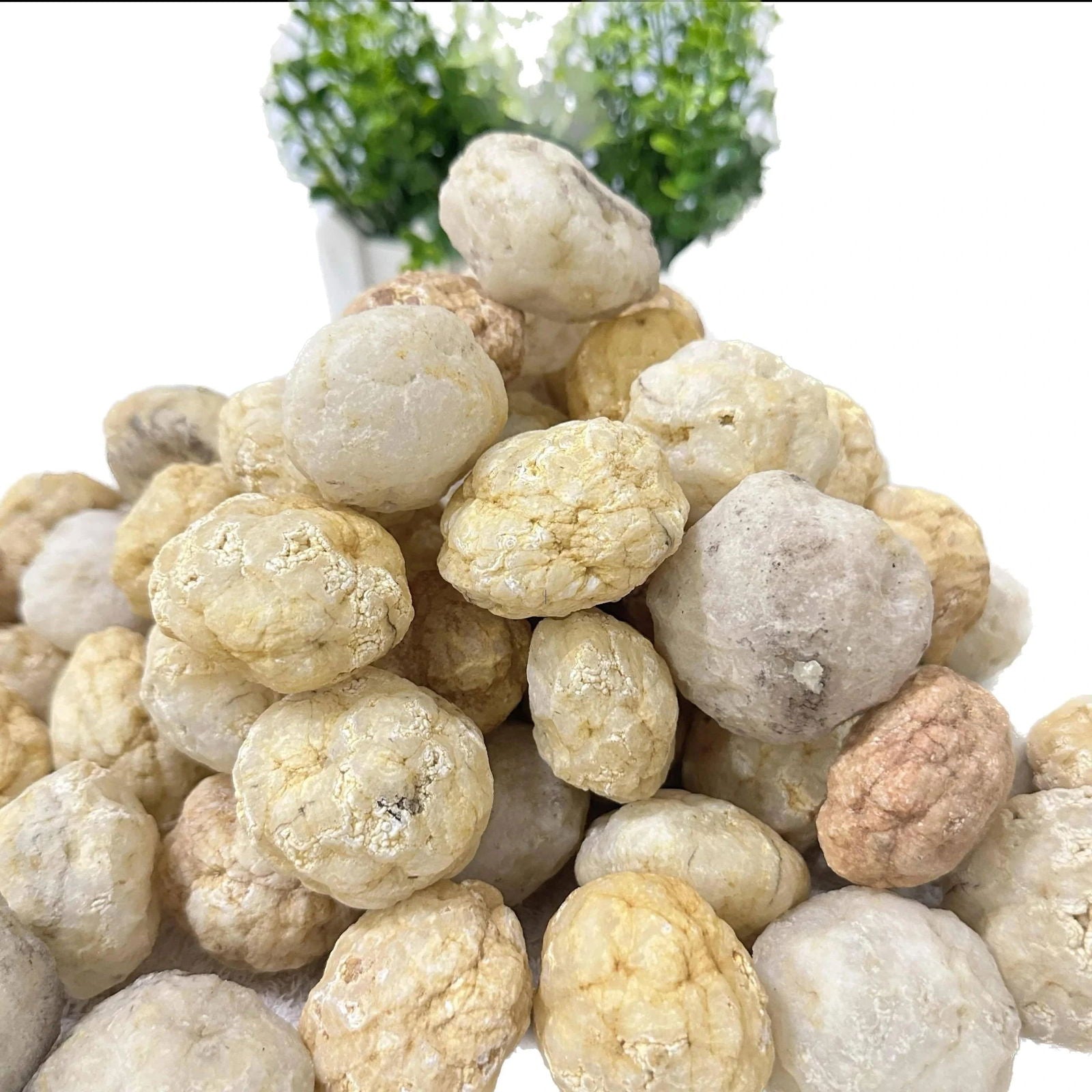 Break Your Own Geodes Natural Agate Geode Real Crystal Specimen Contains Reiki Clean Clusters Beautiful Stones Jewelry Gifts - forbiddengemstones.com