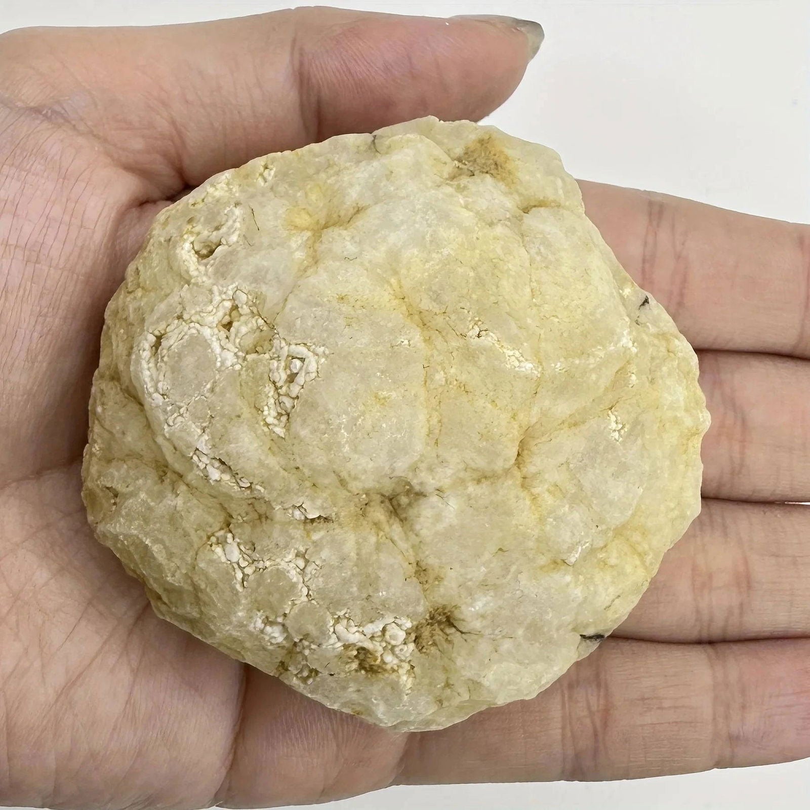 Break Your Own Geodes Natural Agate Geode Real Crystal Specimen Contains Reiki Clean Clusters Beautiful Stones Jewelry Gifts - forbiddengemstones.com