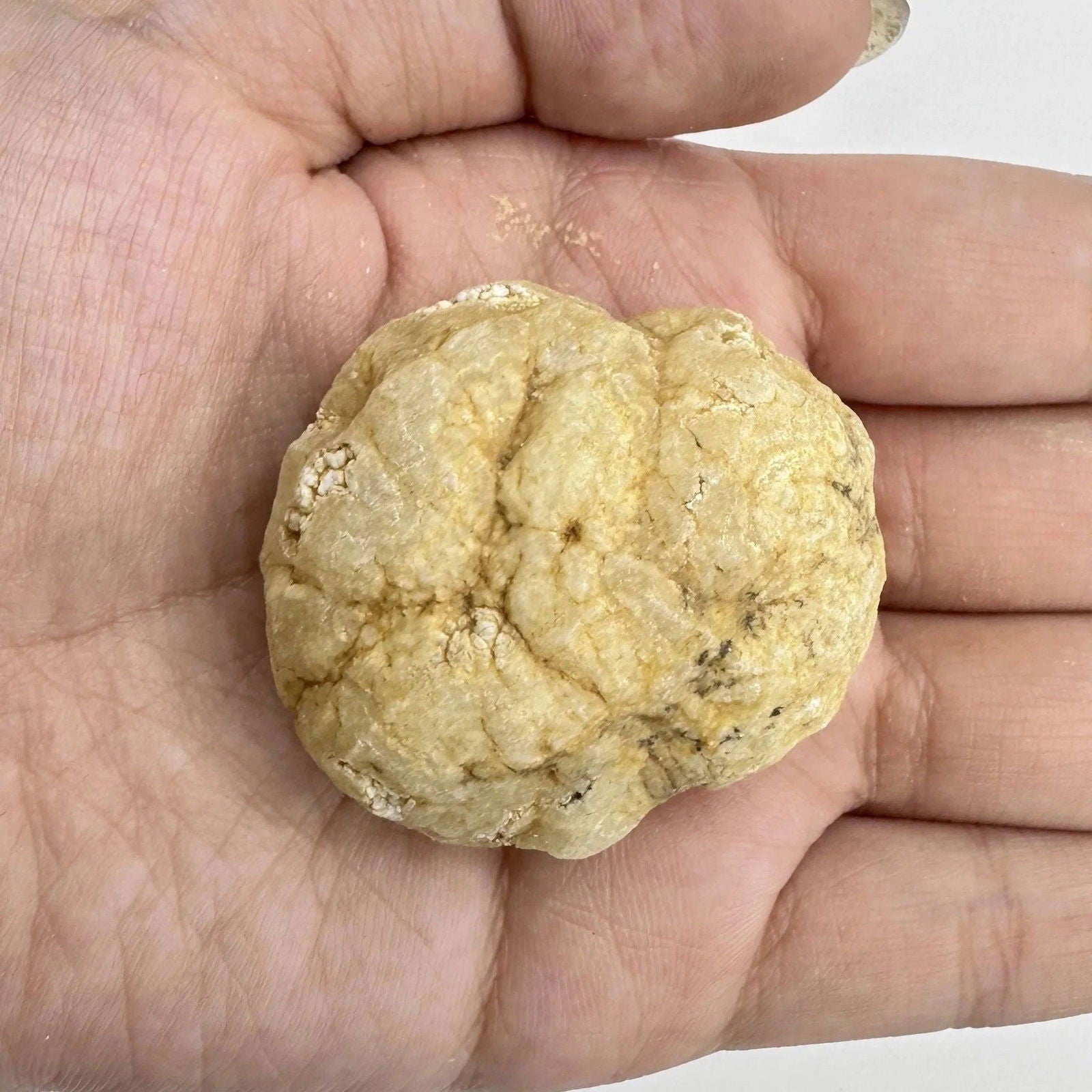 Break Your Own Geodes Natural Agate Geode Real Crystal Specimen Contains Reiki Clean Clusters Beautiful Stones Jewelry Gifts - forbiddengemstones.com