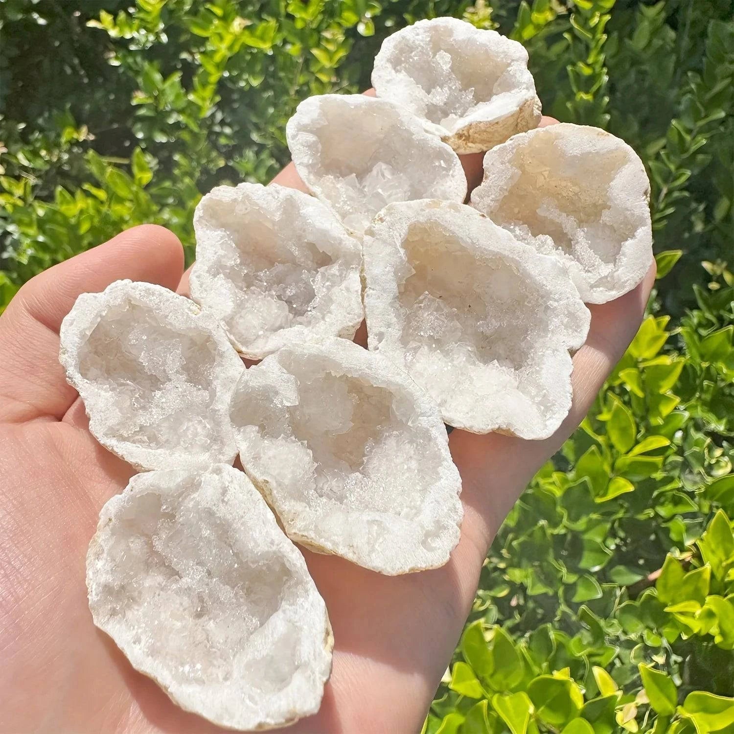 Break Your Own Geodes Natural Agate Geode Real Crystal Specimen Contains Reiki Clean Clusters Beautiful Stones Jewelry Gifts - forbiddengemstones.com