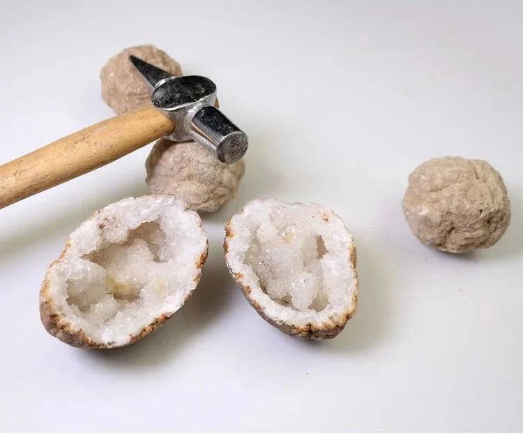 Unopened Natural Agate Geode Raw Crystal Mineral Energy Healing Crystals Lucky Stone Cluster Cave Collection Specimen - forbiddengemstones.com