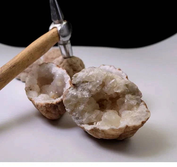 Unopened Natural Agate Geode Raw Crystal Mineral Energy Healing Crystals Lucky Stone Cluster Cave Collection Specimen - forbiddengemstones.com