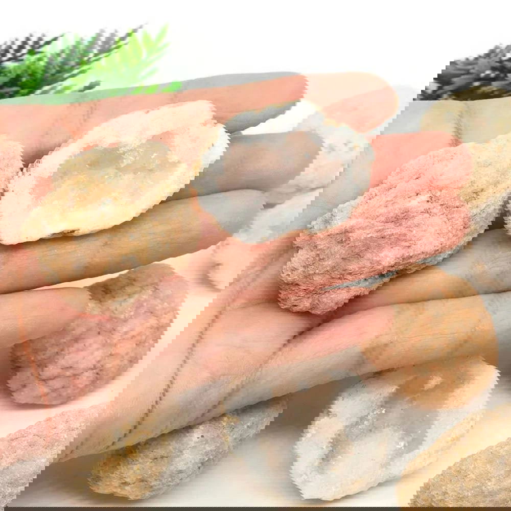 Unopened Natural Agate Geode Raw Crystals Mineral Energy Healing Quartz Rough Stones Gemstones Cluster Caves Collection Specimen - forbiddengemstones.com